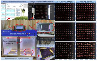 Evaluation of cucumber seed germination vigor under salt stress environment based on improved YOLOv8